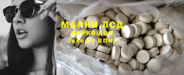 прущие грибы Михайловка