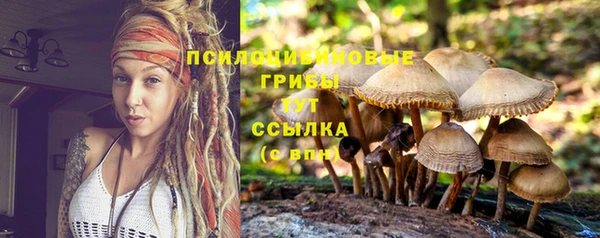 бутират Михайлов