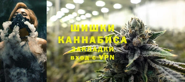 прущие грибы Михайловка
