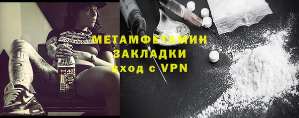 прущие грибы Михайловка