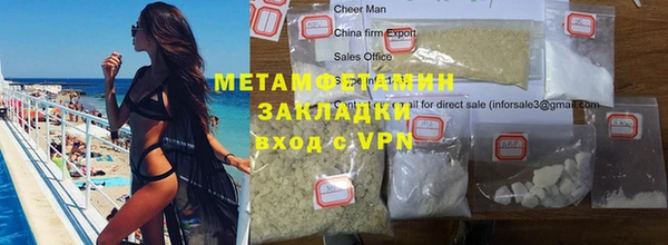 прущие грибы Михайловка