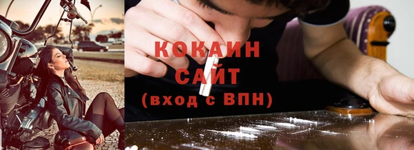 прущие грибы Михайловка