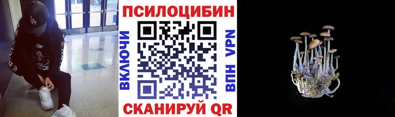 Галлюциногенные грибы Cubensis  Аша 