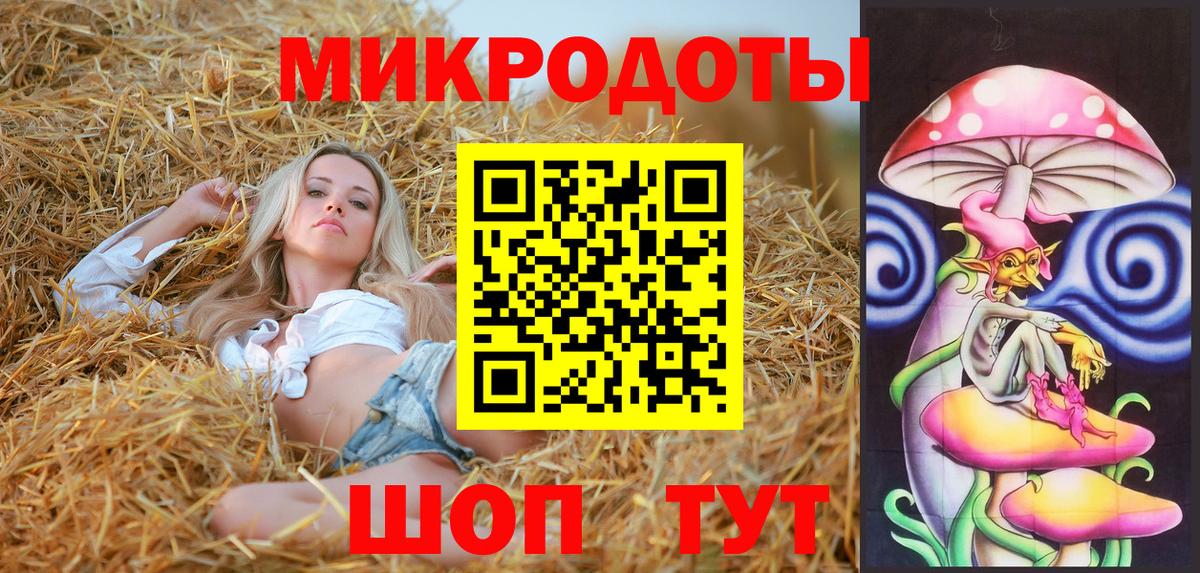 хочу   Аша  Псилоцибиновые грибы Cubensis 