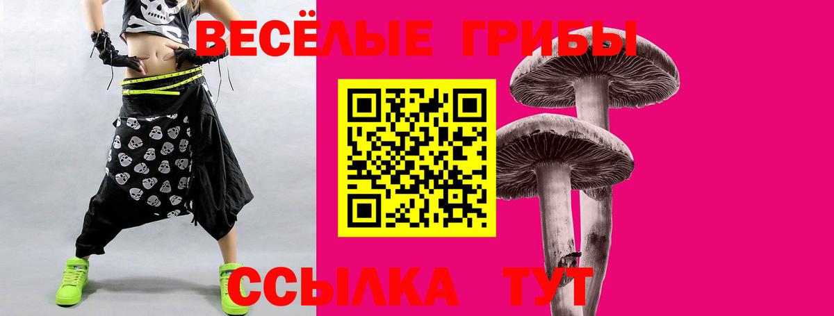 Псилоцибиновые грибы прущие грибы Аша