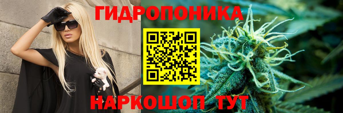 МАРИХУАНА Bruce Banner  Вход с VPN  Аша  Бошки Шишки Amnesia 